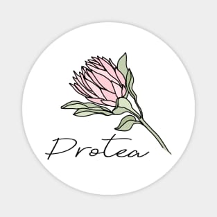 Protea Magnet